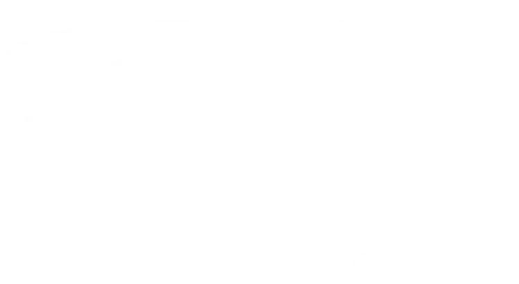 Lost Rhino white logo